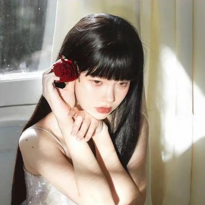 天鹅公主:皇室传说