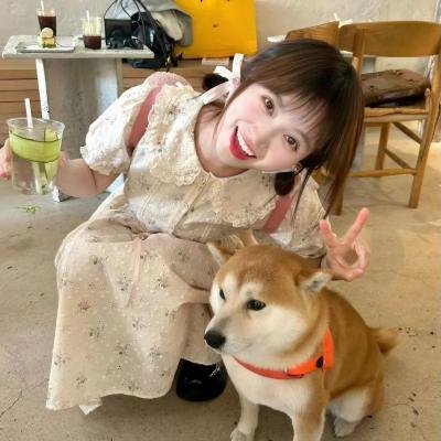 秘密同盟